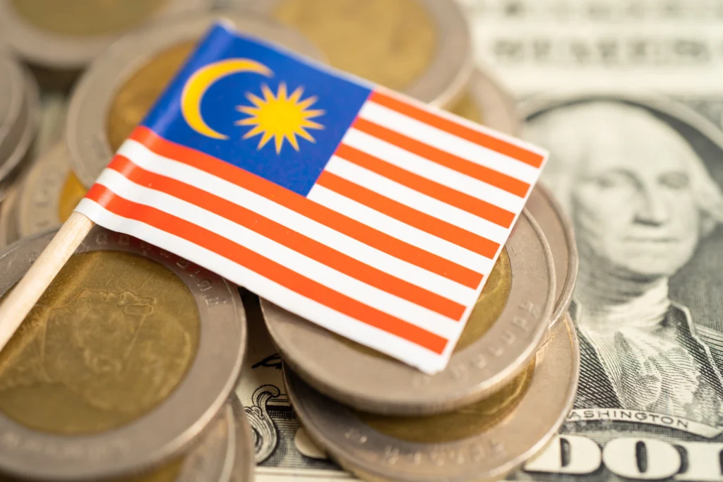 profit and loss malaysia